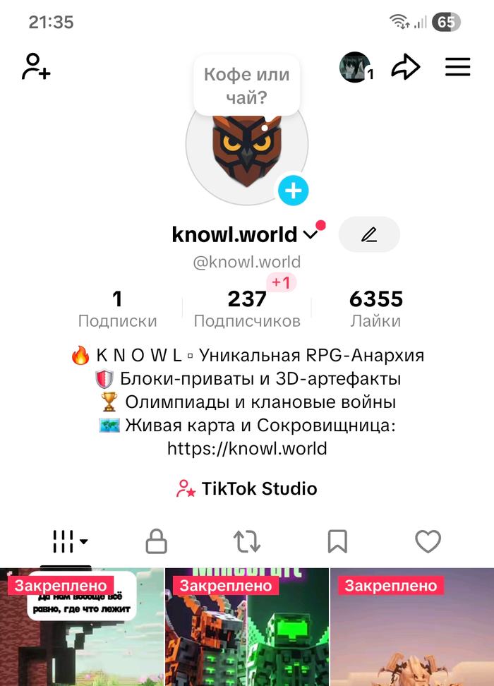Профиль TikTok